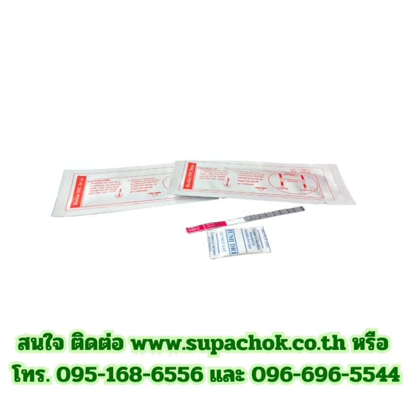 ชุดตรวจกัญชา แบบสตริป(จุ่ม) (Bioline Tetrahydrocannabinol THC Strip)
