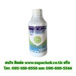 น้ำยาเอส-ไบโอต้า