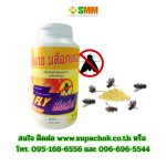 กำจัดแมลงวัน ฟลาย บล๊อกเกอร์