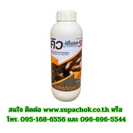 คิว-ฟิโพรส 1
