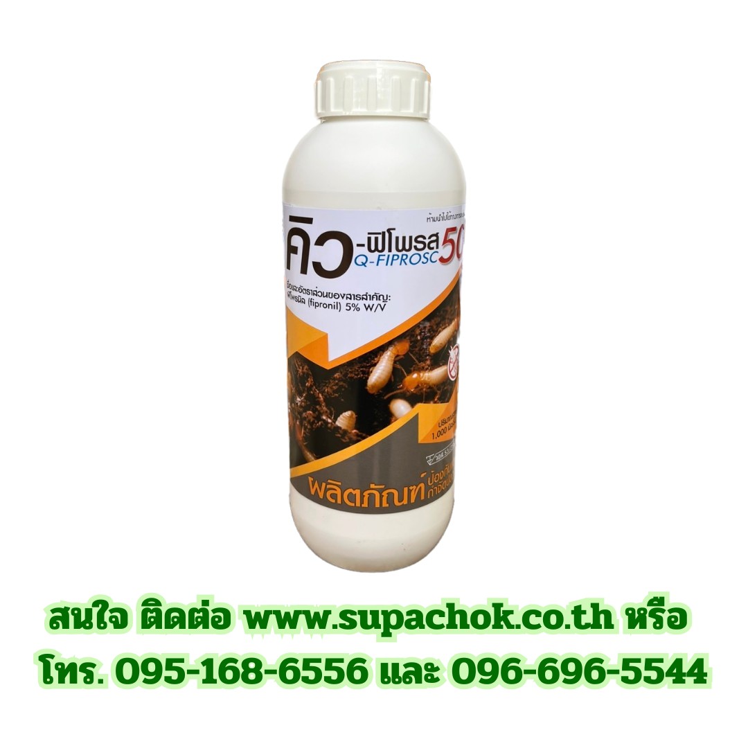 คิว-ฟิโพรส 1